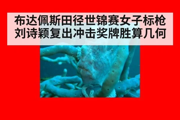 布达佩斯田径世锦赛女子标枪刘诗颖复出冲击奖牌胜算几何